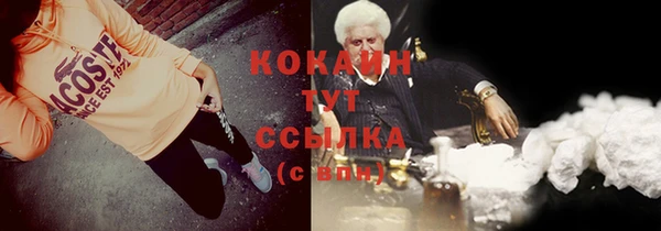 сатива Баксан