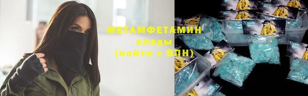 индика Арсеньев