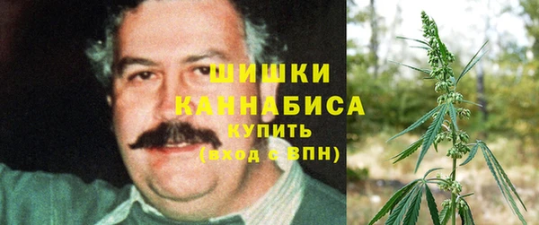 ГАЛЛЮЦИНОГЕННЫЕ ГРИБЫ Балахна
